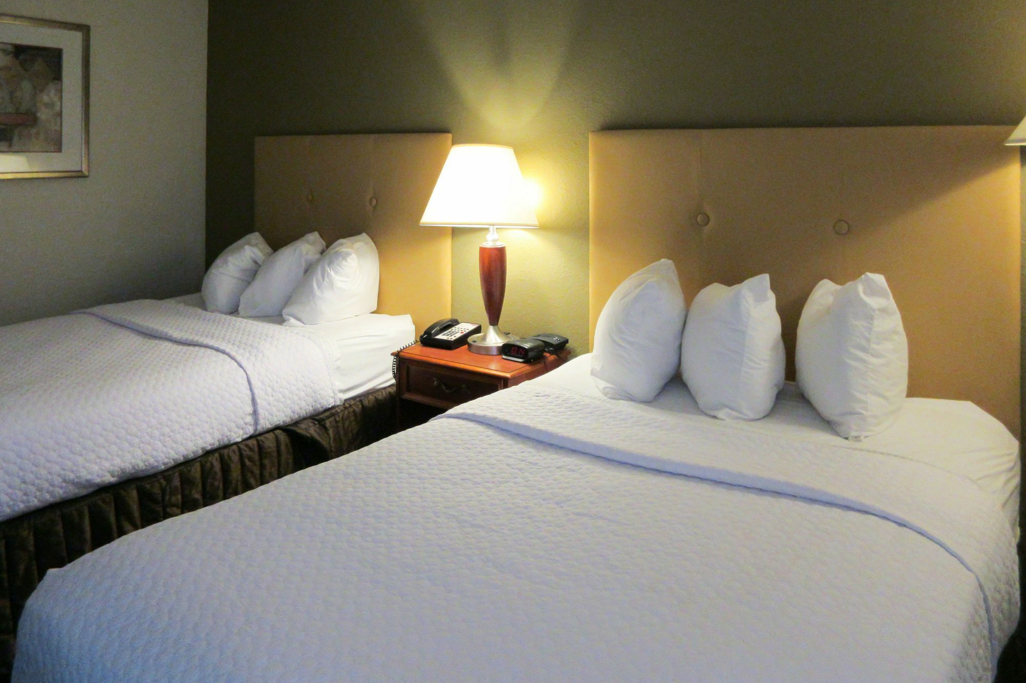 Quality Hotel Conference Center Cincinnati Блу Аш Экстерьер фото